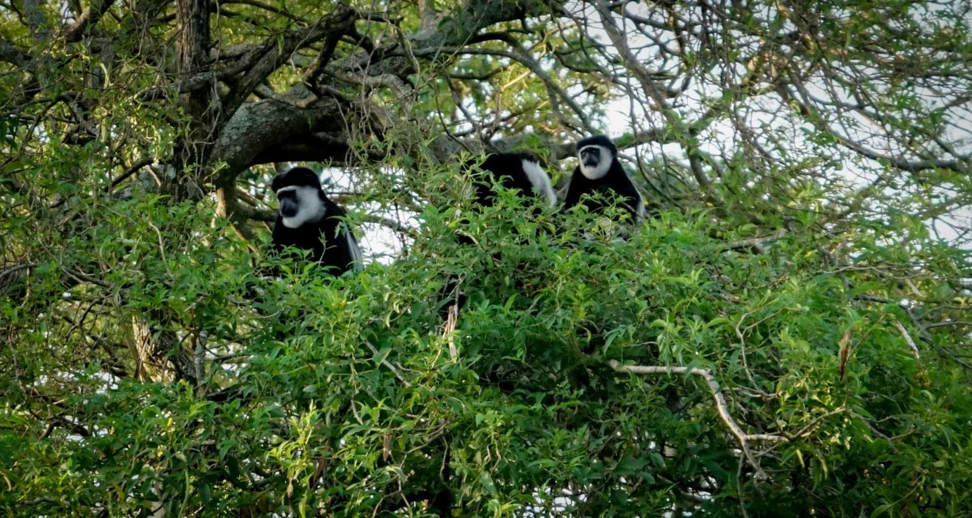 Hotel Lake Nkuruba Nature Reserve Durama Exterior foto